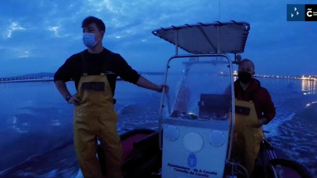 Personal de los Museos Científicos capturan peces para el Aquarium de A Coruña.