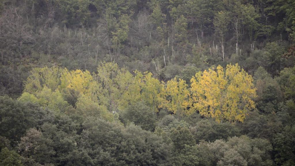 La Sierra de Oribio en Lugo.