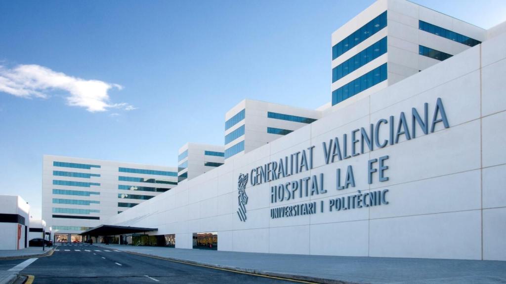 Vista del Hospital La Fe. EE