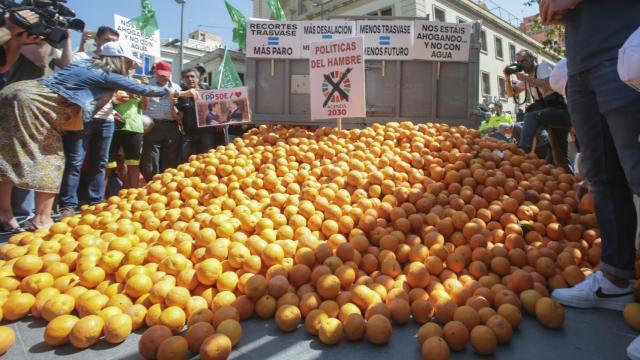Volcado de naranjas frente a la subdelegación del Gobierno de Alicante, ayer durante la manifestación en favor del trasvase.
