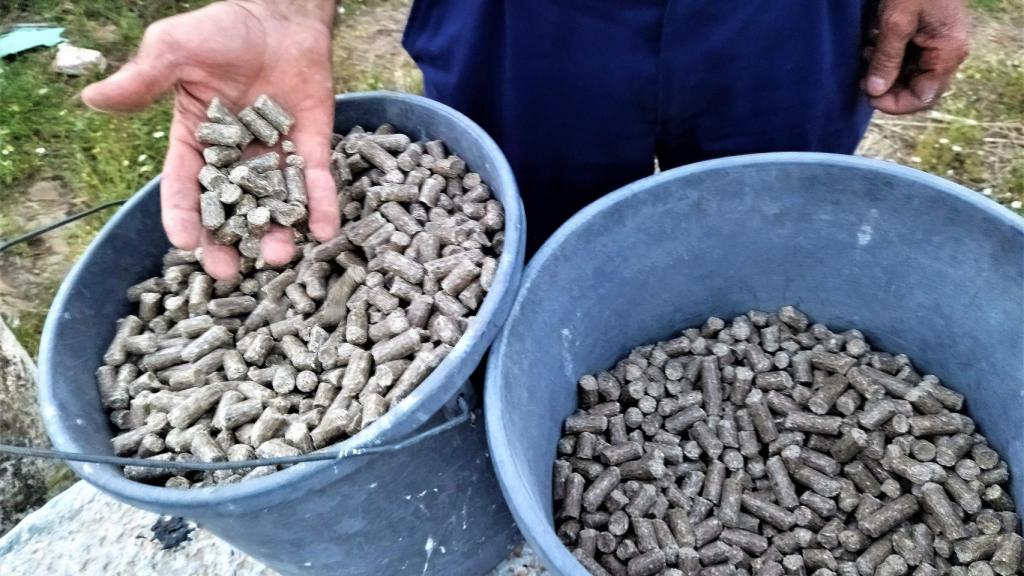 El pienso para ovejas que usa un ganadero.