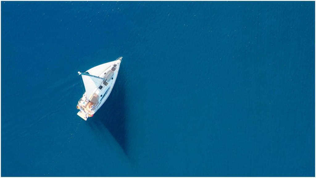 Vela, competiciones.