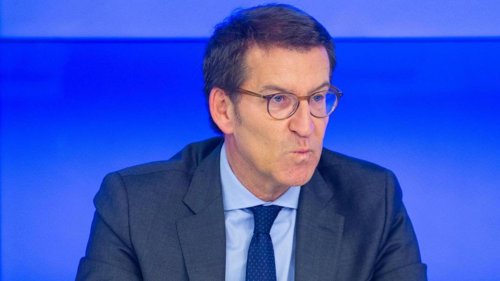 El presidente del Partido Popular, Alberto Núñez Feijóo, durante la reunión del Comité Ejecutivo Nacional del PP.