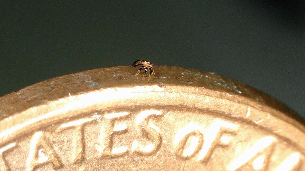 El diminuto robot en el canto de una moneda