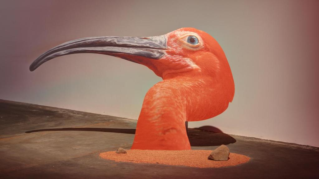 Maurizio Elia: 'Novitskova Approximaton Mars I', 2014, en la exposición del Museo Patio Herreriano