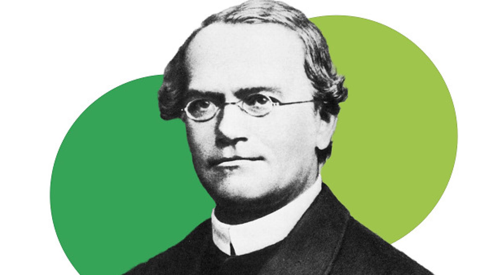 El naturalista y fraile agustino Gregor Johann Mendel