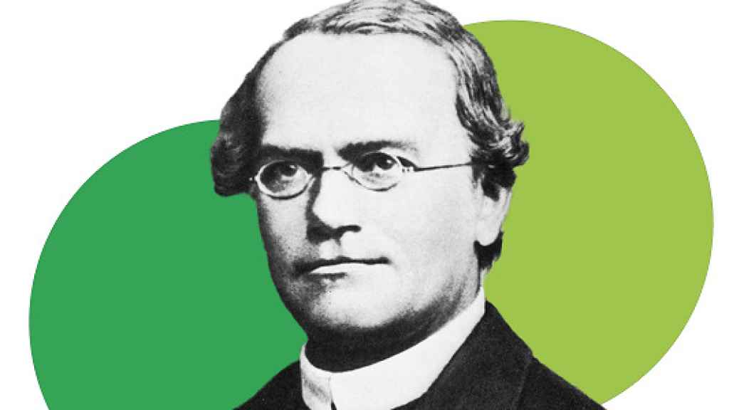 El naturalista y fraile agustino Gregor Johann Mendel