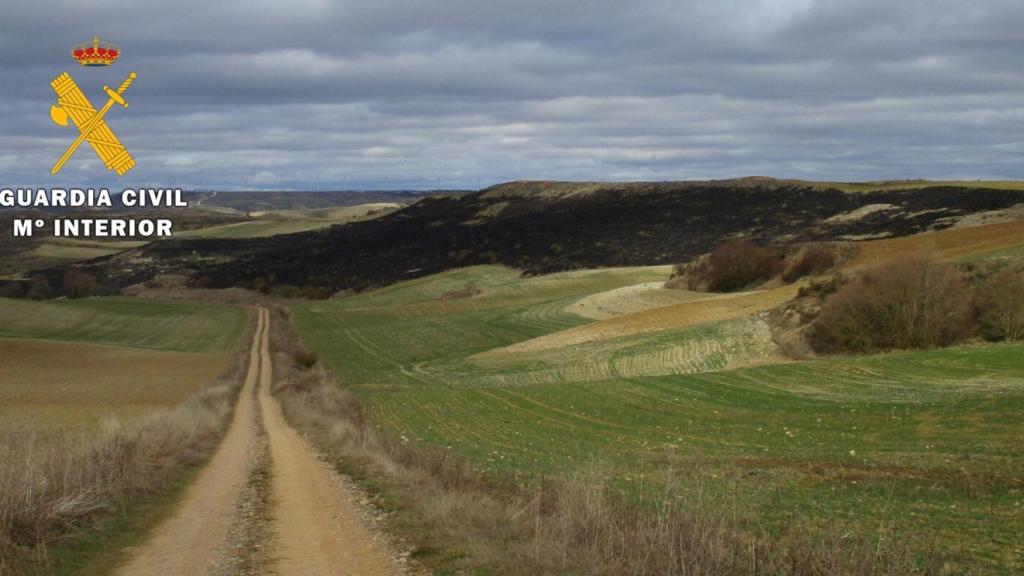 Imagen de las tierras arrasadas por el fuego en Barrios de Colina facilitada por la Guardia Civil.