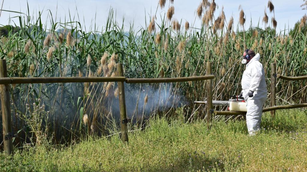 Fumigación en Albacete. Foto: Ayuntamiento de Albacete.