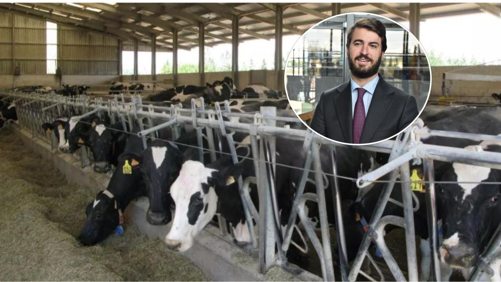 Granja de ganado bovino