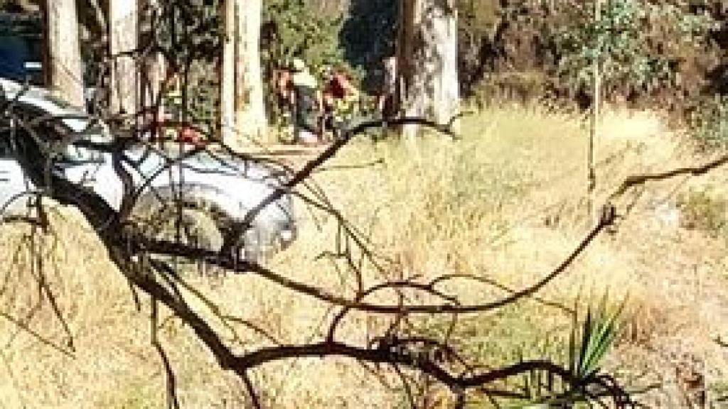 Los efectivos trabajando en el lugar de los hechos.