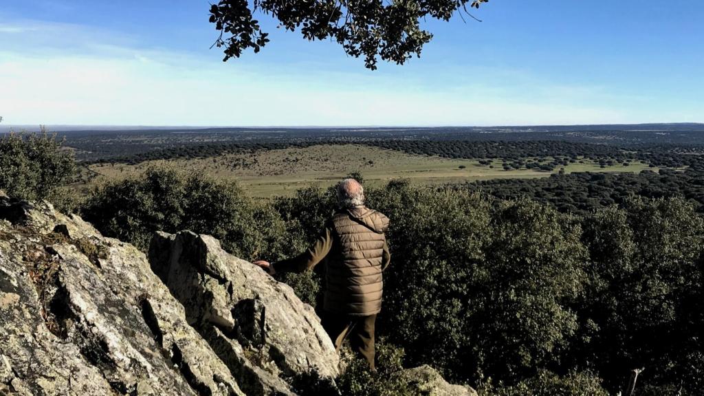 Bosque en Salamanca