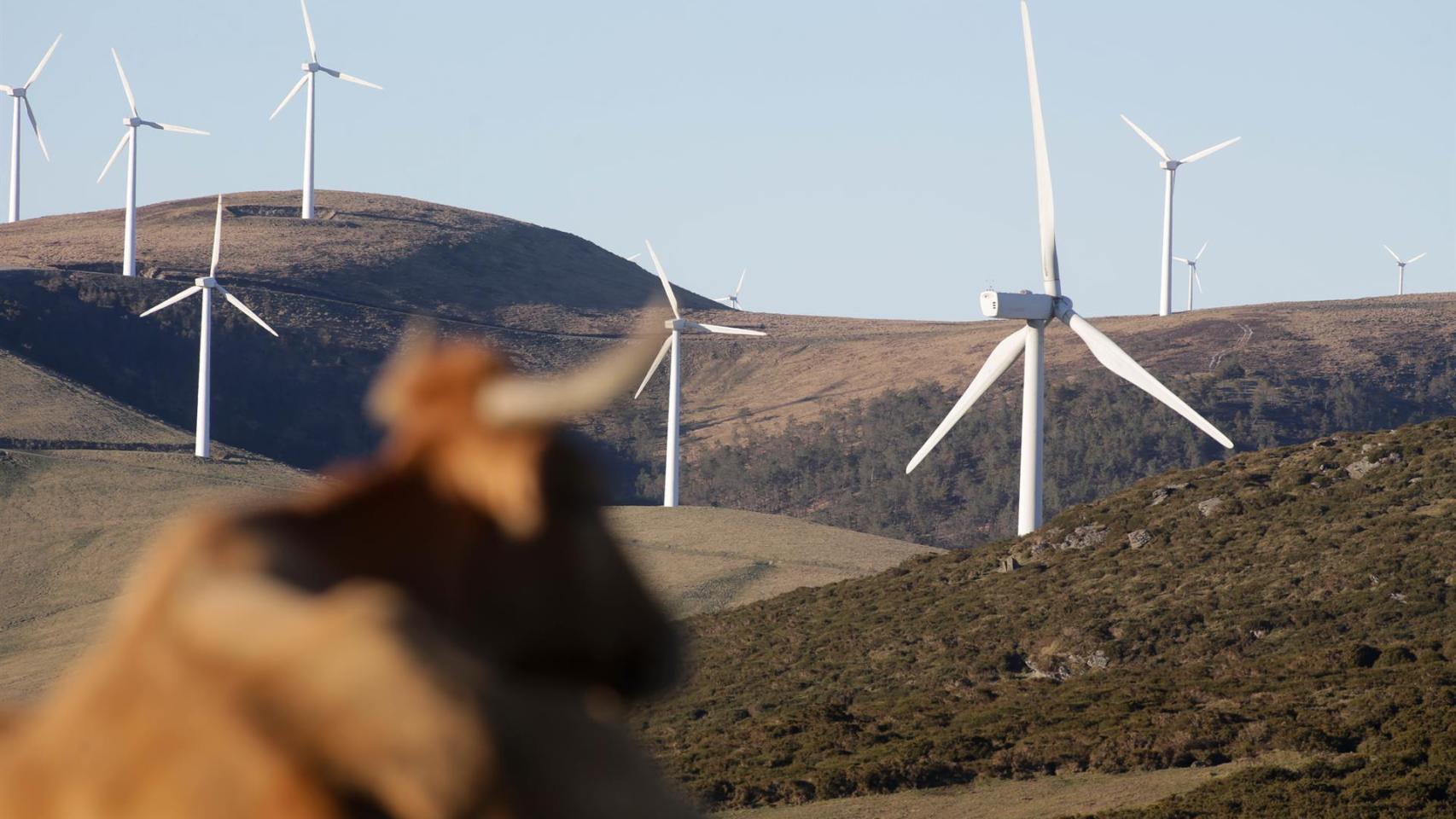 Parque eólico de Montouto, de la Serra do Xistral, en la comarca de Terra Cha.
