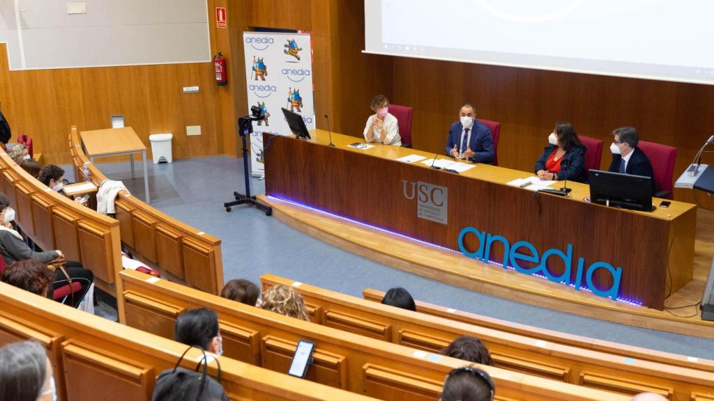 El conselleiro de Sanidade, Julio García Comesaña, durante la IV Jornada Creciendo con la Diabetes.