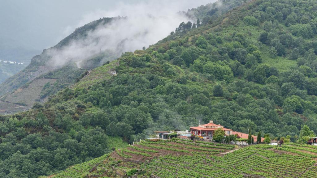 Bodega Regina Viarum.