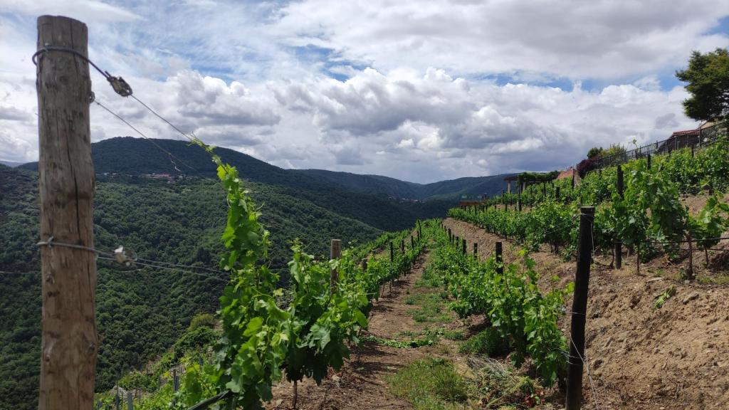 Bancales Regina Viarum.