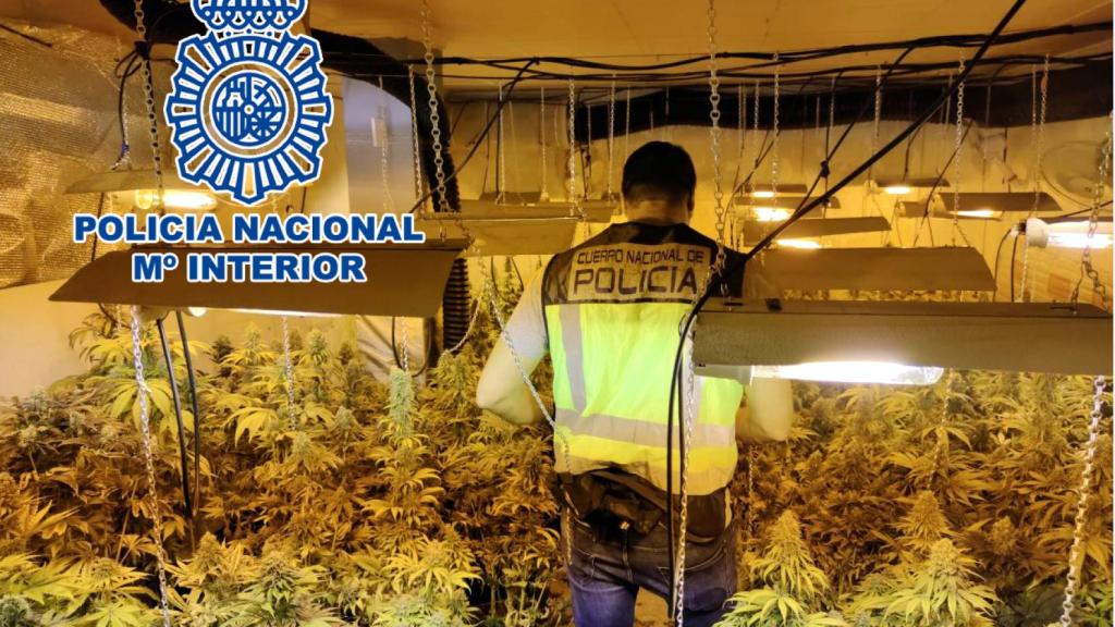 La Guardia Civil desarticula un punto de cultivo y venta de marihuana.