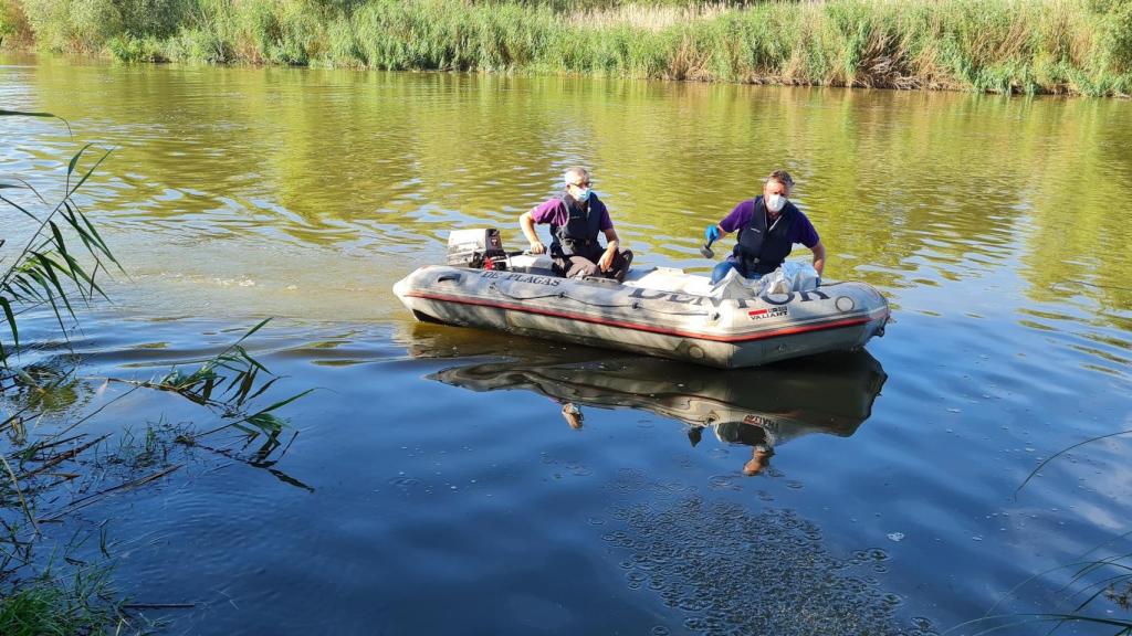 Foto: Ayuntamiento de Talavera.