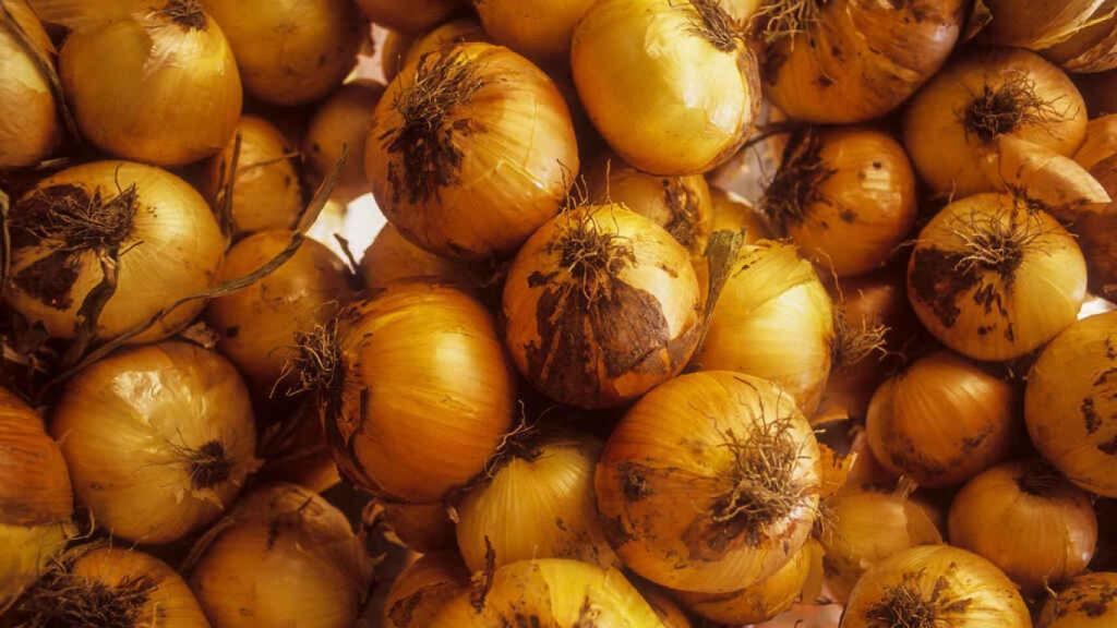 El kilo de cebollas es 20 céntimos más caro que hace seis meses.