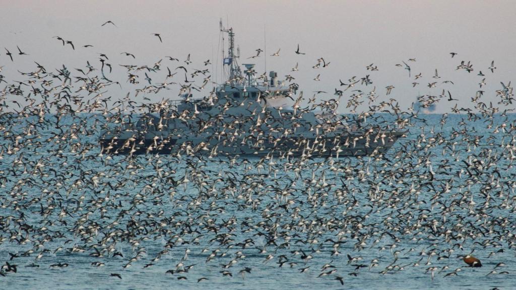 Un buque de la Armada rusa en el puerto de Sebastopol, en el Mar Negro.