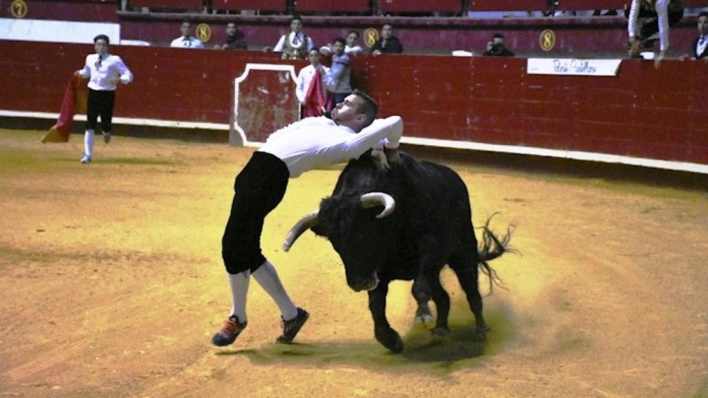 Los festejos taurinos protagonizan el fin de semana en La Flecha
