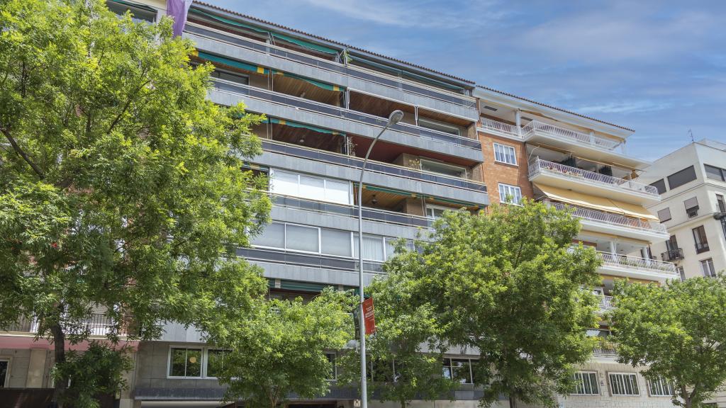 Paseo del Pintor Rosales.