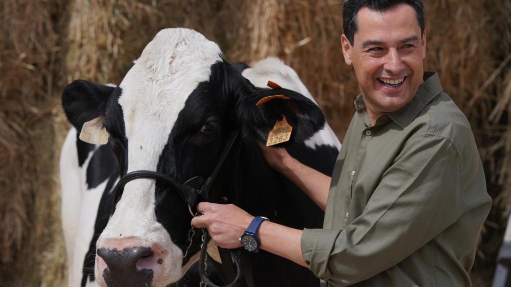 El candidato del PP, Juanma Moreno, visita una explotación ganadera en el Valle de los Pedroches.