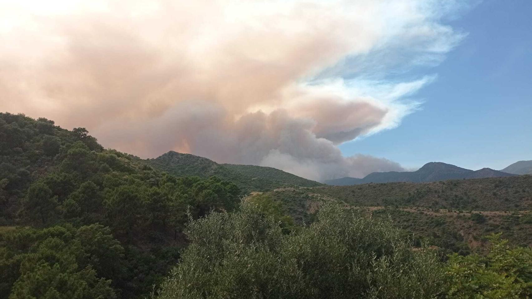 Así se ve el incendio de Pujerra (Málaga) desde un Benahavís desalojado
