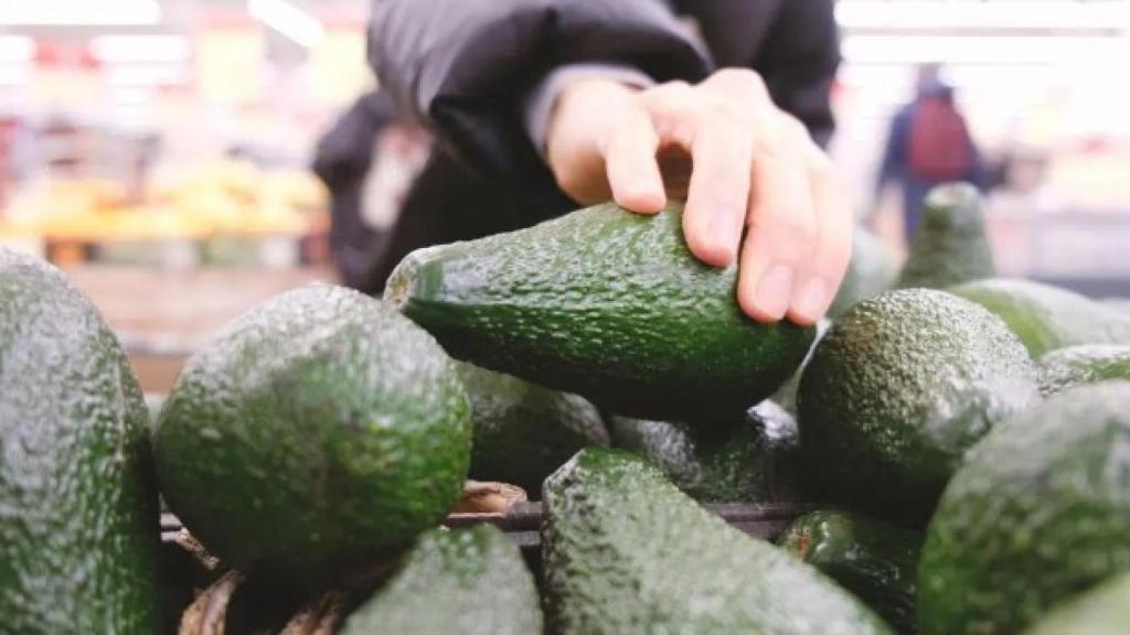 Sus árboles no tenían el tamaño necesario.