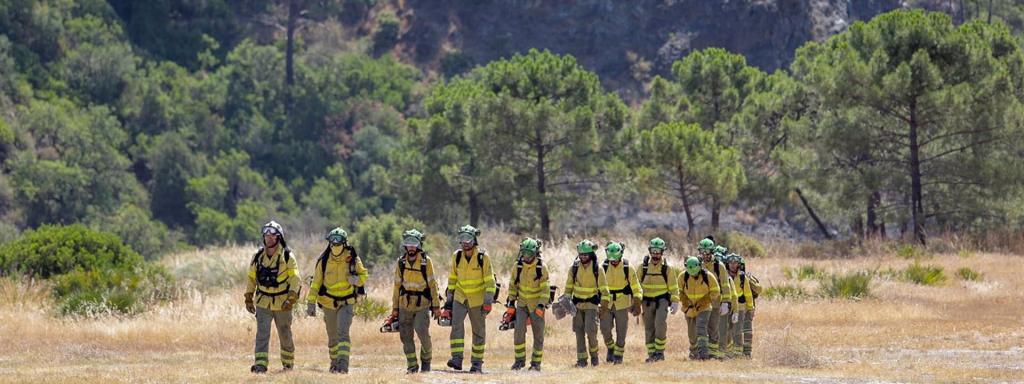 Una imagen del incendio de Pujerra.