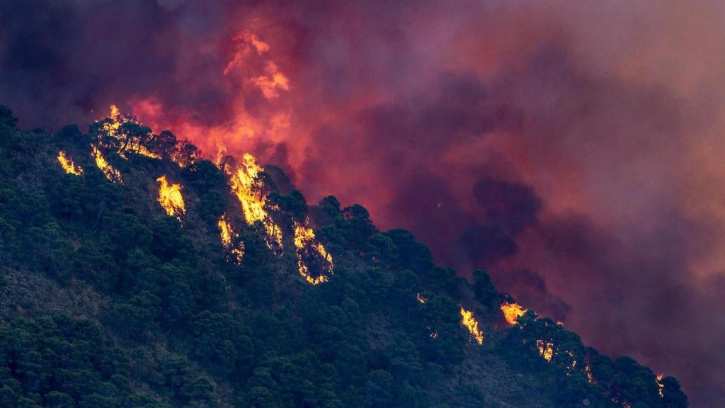Vista del incendio forestal de Pujerra (Málaga).