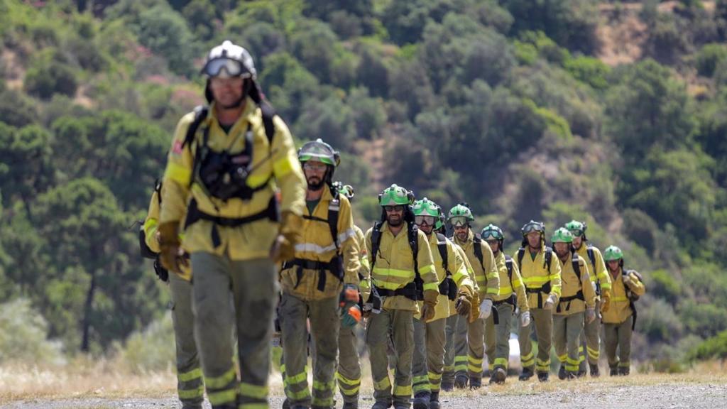Bomberos trabajando en el incendio forestal de Pujerra.
