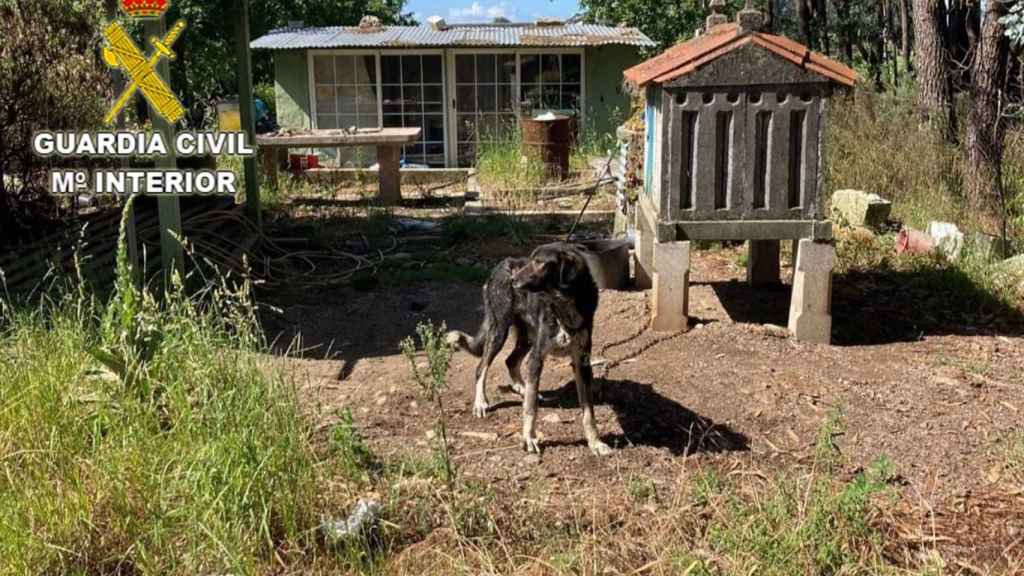Lugar donde habitaban los animales.