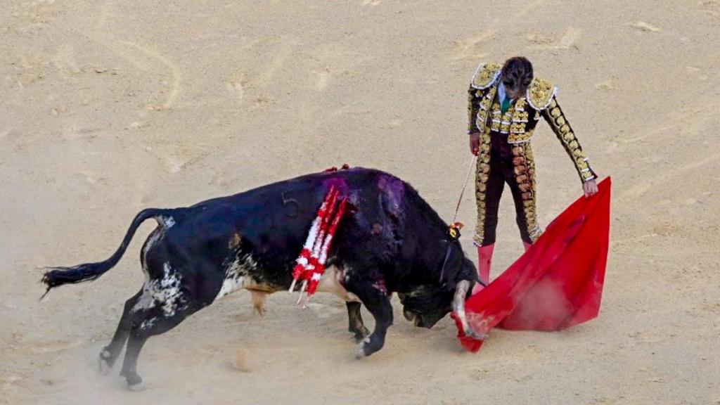 José Tomás torea al natural en su regreso a los toros en Jaén.