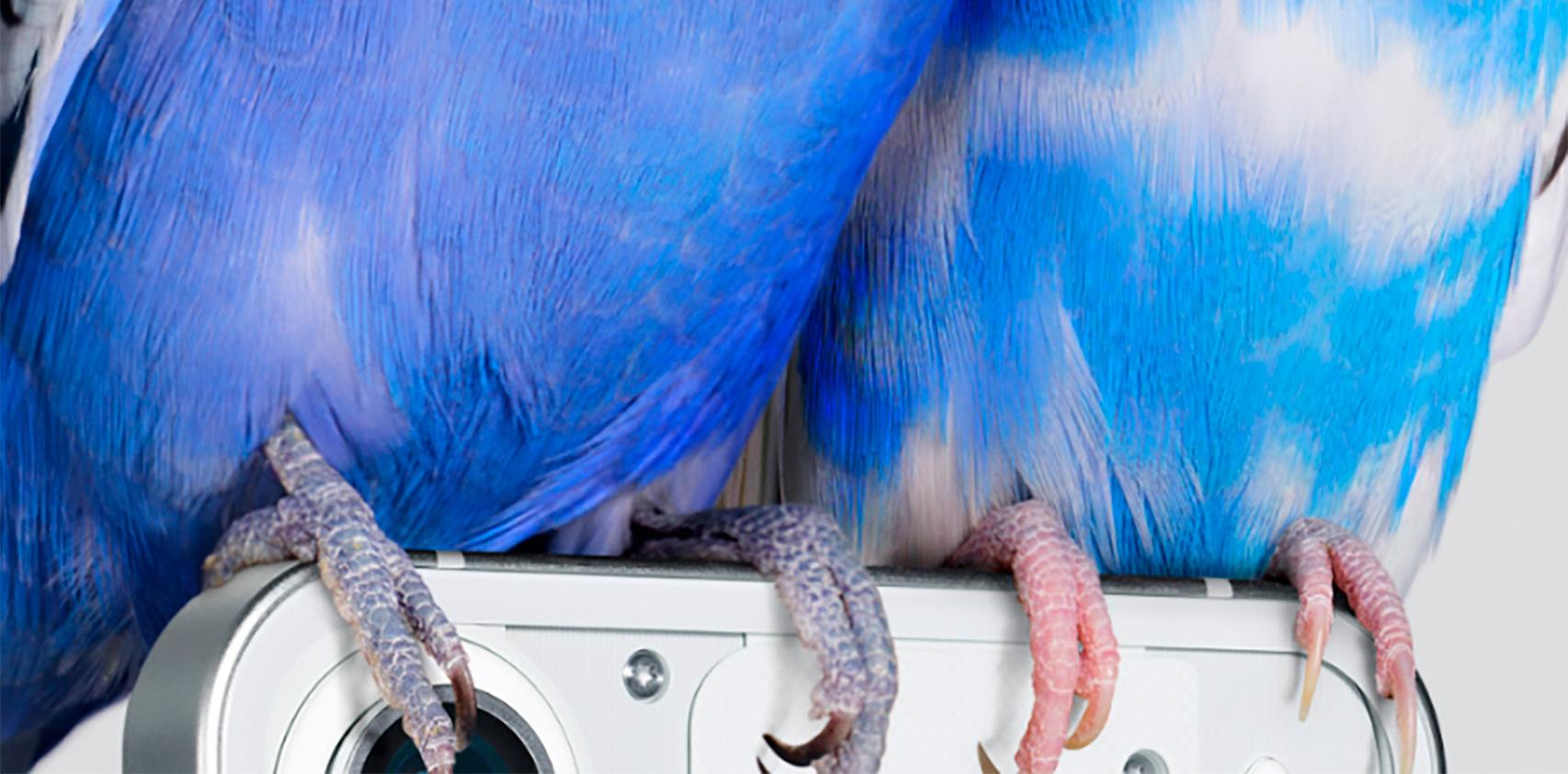 Así se ve el nuevo Nothing Phone (1)