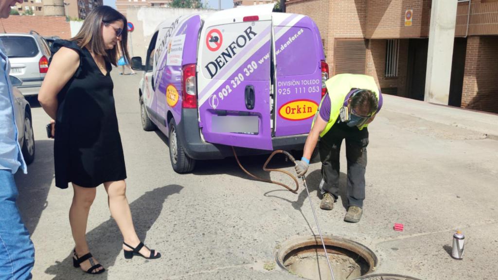 Foto: Ayuntamiento de Talavera.