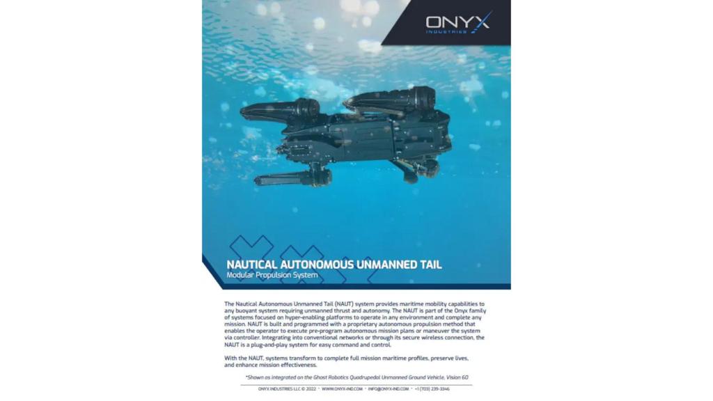 Descripción del sistema NAUT.