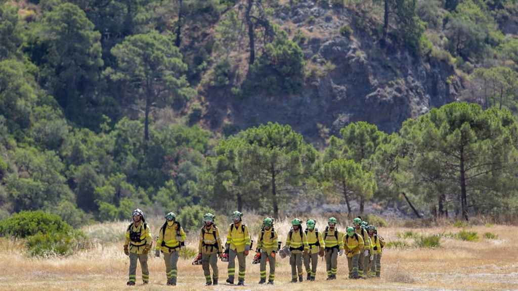 Incendio forestal de Pujerra (Málaga).