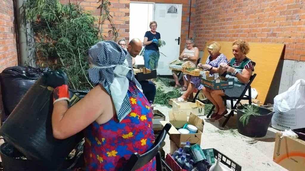 El alcalde de O Porriño, Alejandro Lorenzo, reunido con varias voluntarias de la Asociación de amas de casa, consumidores y usuarios Rosais.