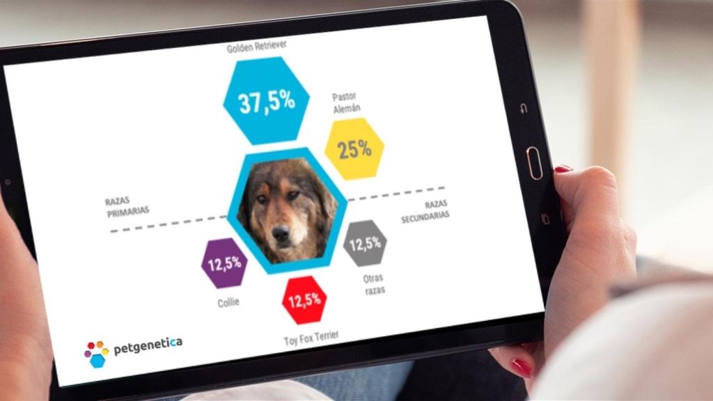 Petgenetica se basa también en herramientas digitales para facilitar la experiencia al usuario.