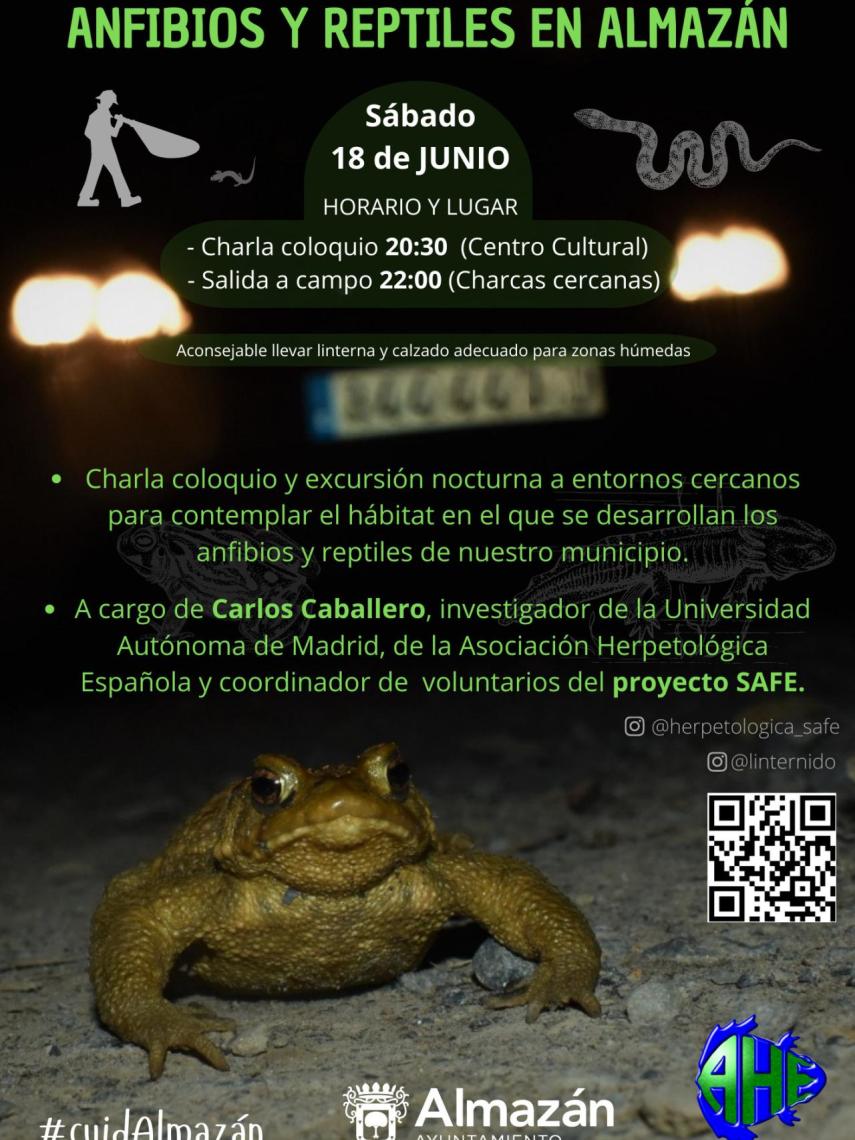 Cartel de las actividades en Almazán