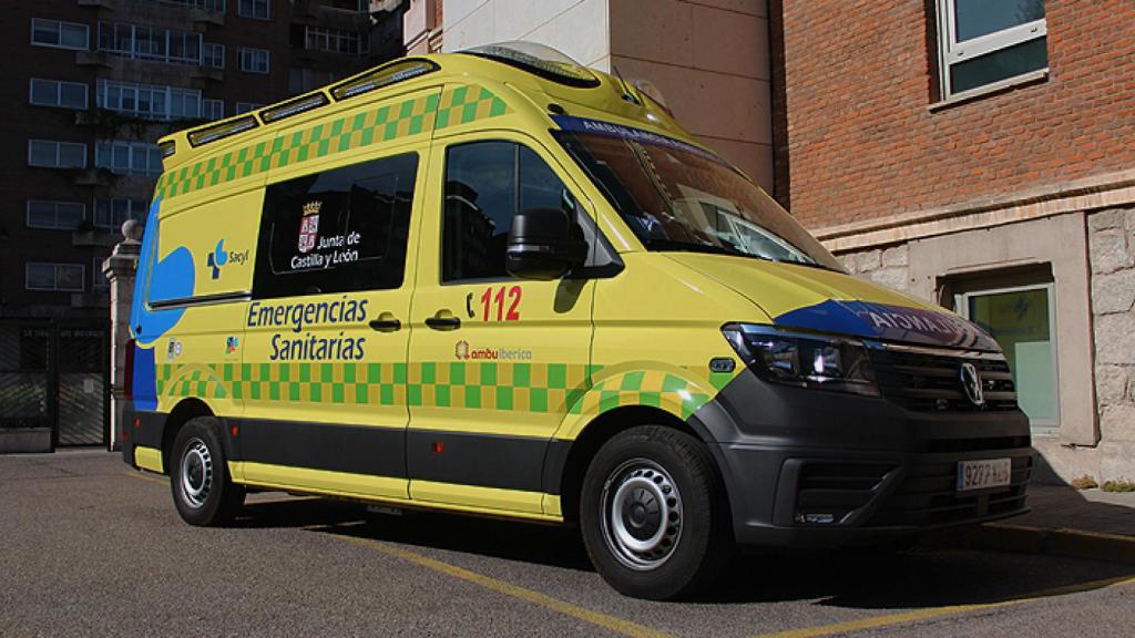 unidad medicalizada de servicios de asistencia sanitaria