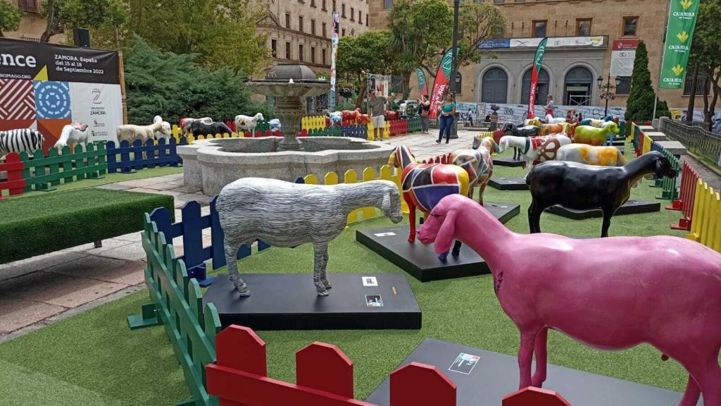 'Ovejas Fromage' de Zamora en Salamanca