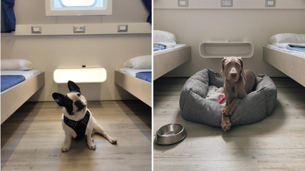 Camarotes 'petfriendly' Baleària.