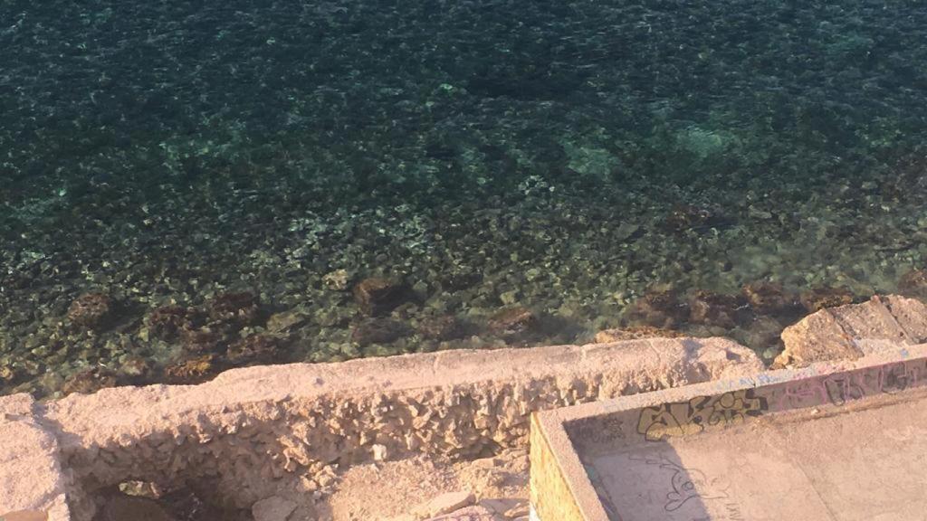 Zona del agua, pegada a la estructura, ocupada por los caracoles marinos.