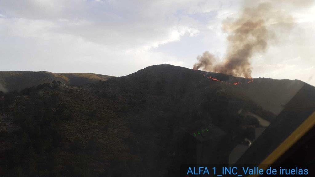 El foco de Iruelas, detectado en Ávila