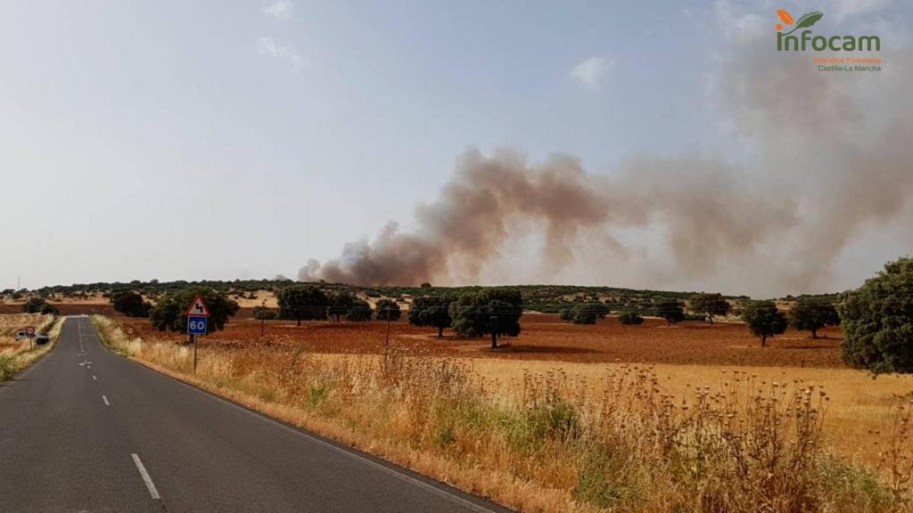 Incendio forestal en Los Pozuelos de Calatrava (Ciudad Real).