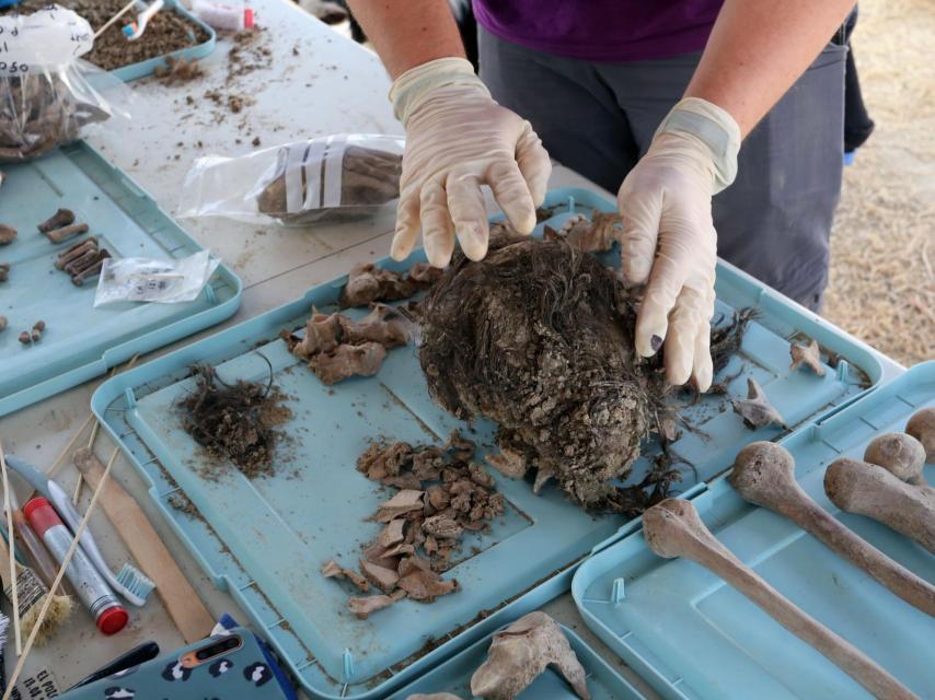 La Asociación para la Recuperación de la Memoria Histórica localiza los dos cuerpos que buscaba en una fosa en Cospedal de Babia, en León.