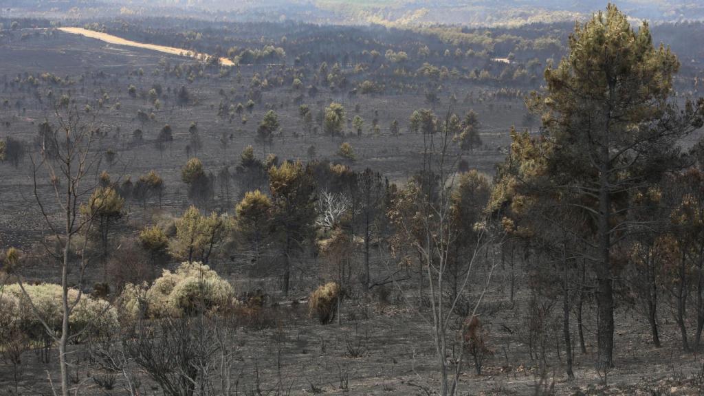 Estado en el que ha quedado la Sierra de la Culebra