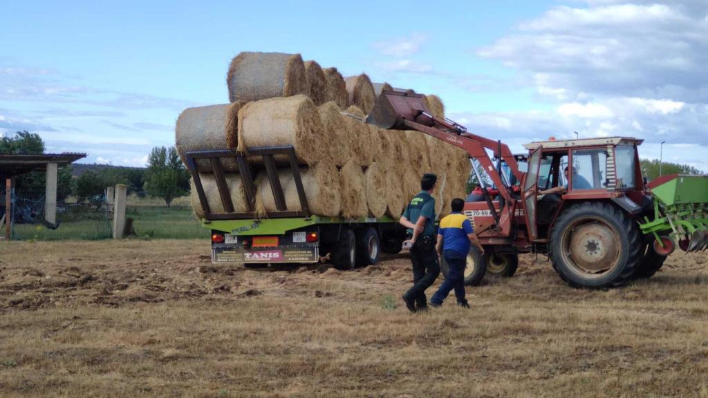 Entrega de las pacas de paja procedentes de Tábara a ganaderos de la Culebra
